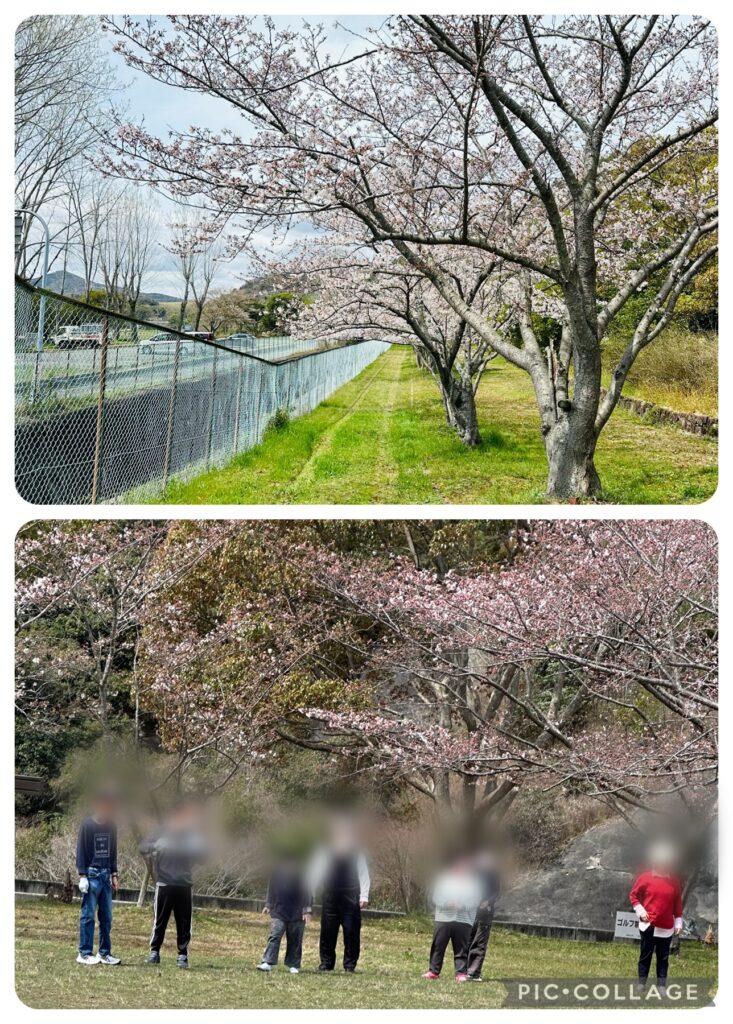 今日のお散歩の様子