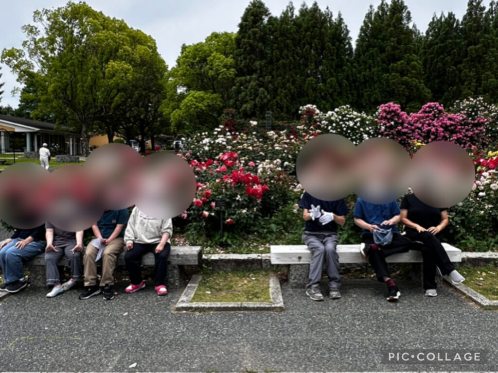 バラ園に行ってきました